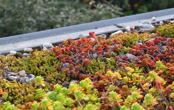 the cost of Basted green roof installation